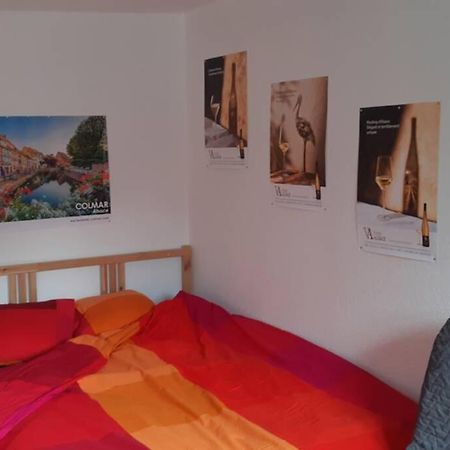 Gite De Benedicte Ancienne Douane Colmar Exterior photo