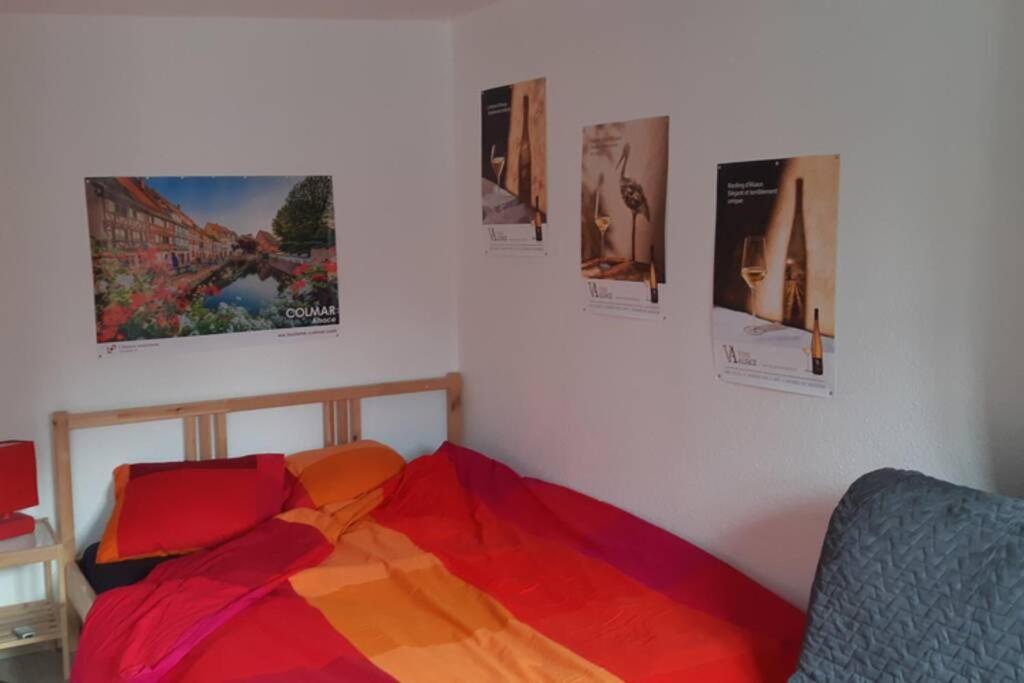 Gite De Benedicte Ancienne Douane Colmar Exterior photo